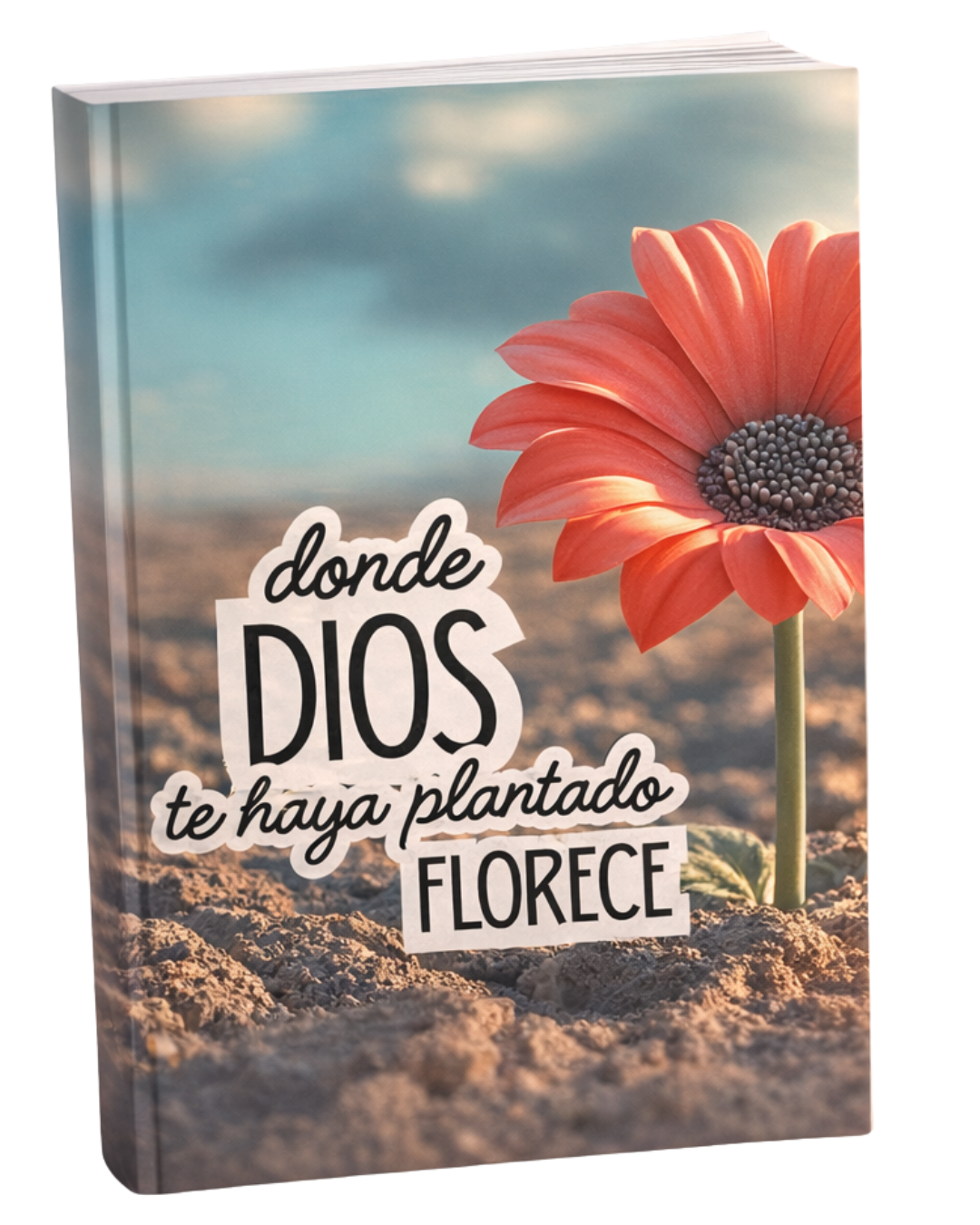 Florece donde Dios te plantó