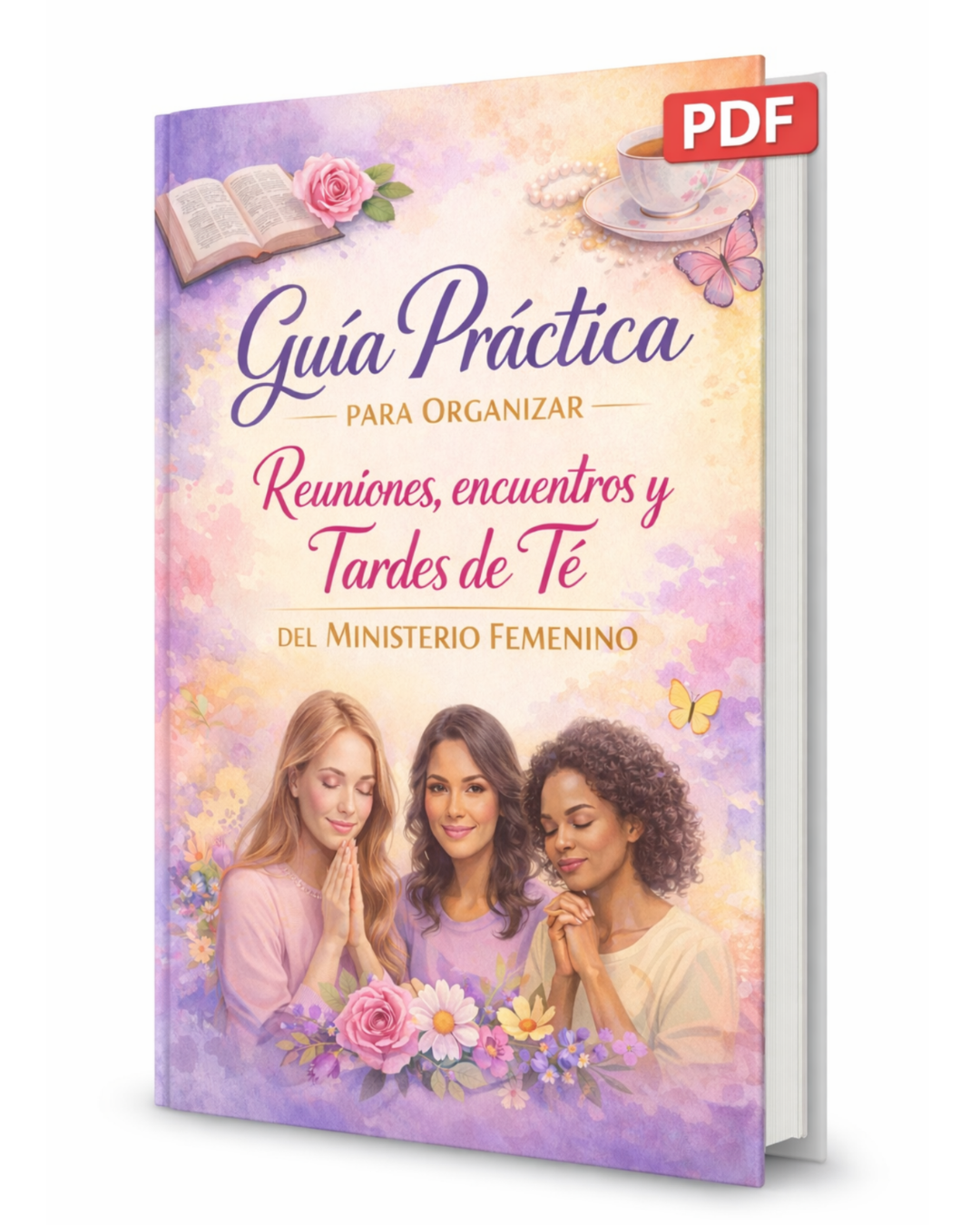 Guía para organizar encuentros